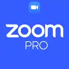 Zoom Pro лицензия