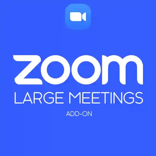 Zoom Large Meeting Add-on